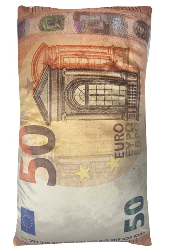 Dekorační polštář bankovka 50 Eur 30x50cm 1