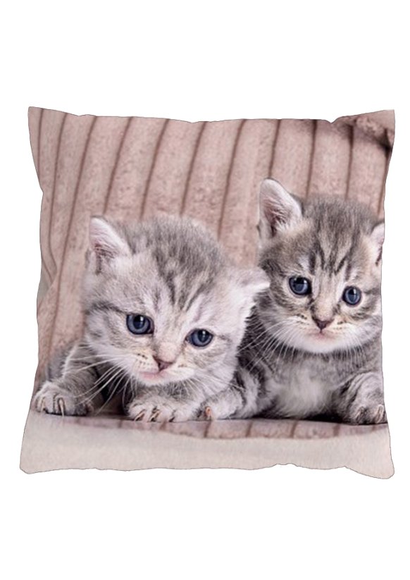 Povlak na polštář 40x40 na zip velur koťátka šedá