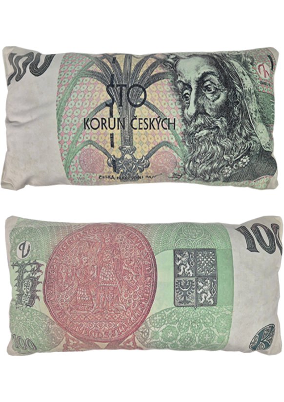 Dekorační polštář velur 100 bankovka 28x53cm