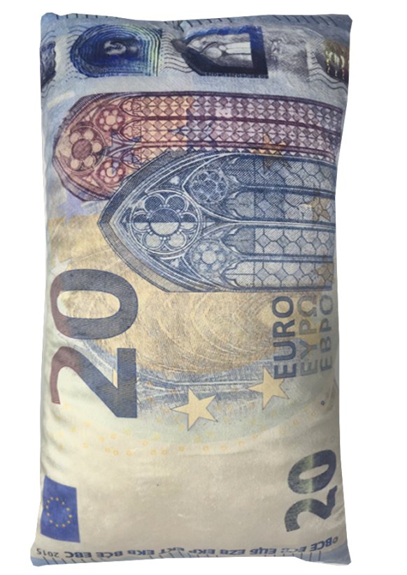 Dekorační polštář bankovka 20 Eur 30x50cm 2
