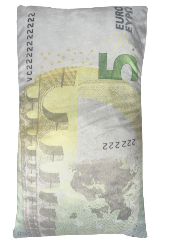 Dekorační polštář bankovka 5 Eur 30x50cm 1