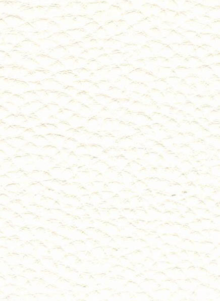 Potahová látka CORIUM v barvě bílé