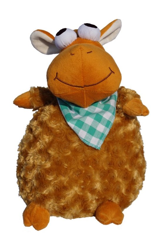 Obrázek