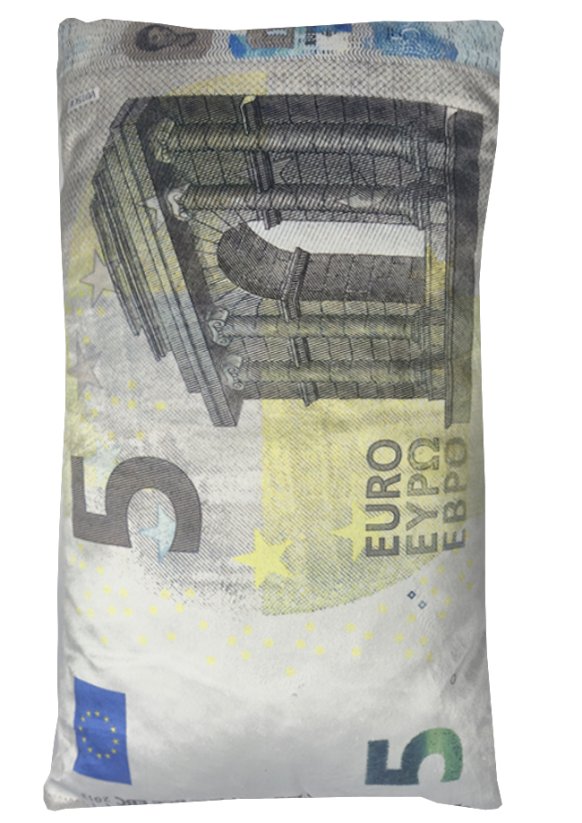 Dekorační polštář bankovka 5 Eur 30x50cm 2