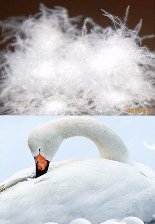 Luxusní polštář prachové peří WHITE