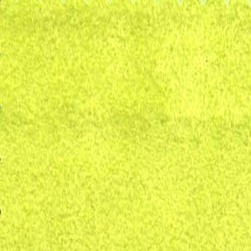 Obrázek (1)