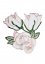 Dekorace na ubrus/prostírání vyšívaná růže růžová