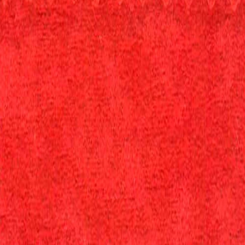 Obrázek (1)