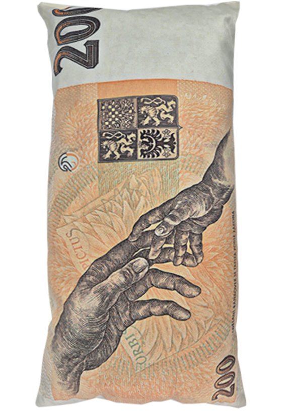 Dekorační polštář velur 200 bankovka 28x53cm 2
