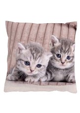 Povlak na polštář 40x40 na zip velur koťátka šedá