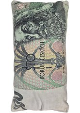 Dekorační polštář velur 100 bankovka 28x53cm 1